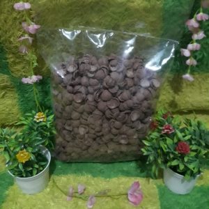 Makanan_Choco Chips