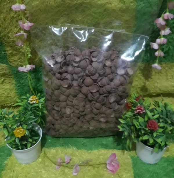 Makanan_Choco Chips