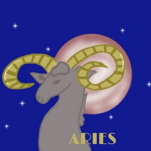 Profile Picture_Aries