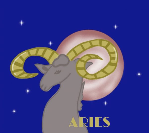 Profile Picture_Aries
